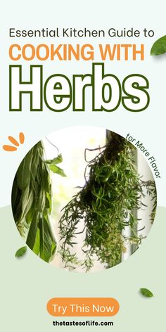 Essential Kitchen Guide To Cooking With Herbs