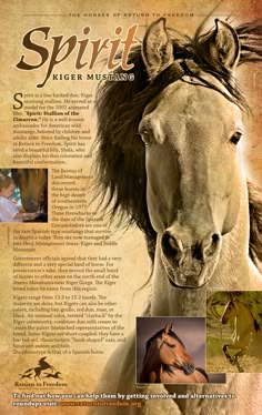 the front cover of spirit magazine features photos of horses and their names in english or spanish