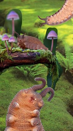 an animal that is laying down on a tree branch in the grass next to some mushrooms