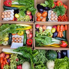 several boxes filled with lots of different types of vegetables