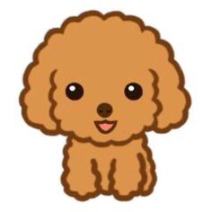 a brown poodle with big eyes sitting down