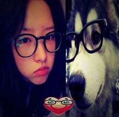 a woman wearing glasses next to a husky dog with eyeglasses on it's face