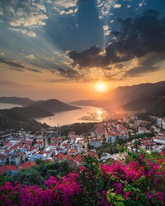the sun is setting over a city with flowers in front of it and water below