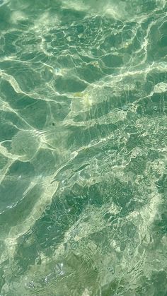 the water is so clear that it looks like they are floating on top of each other