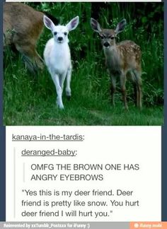 two deer standing next to each other in the grass