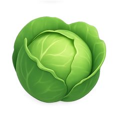 a green cabbage on a white background with clippings to cut out the leaves