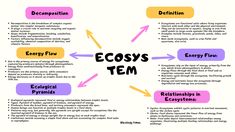 a diagram with the words ecosy's team in different colors and styles on it