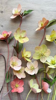 several different types of flowers are arranged on a wooden surface with green leaves and stems