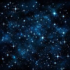 the stars are shining in the night sky