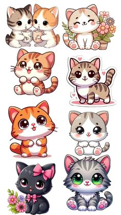 a bunch of cats that are all different colors