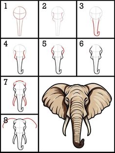 how to draw an elephant's head step by step with pictures and instructions for beginners