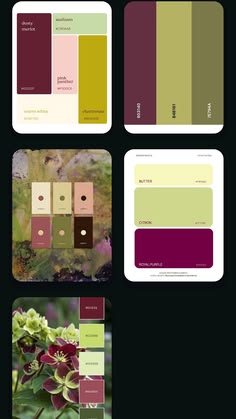 four different color palettes with flowers and plants in them, all showing the same colors