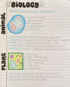 an animal cell diagram on lined paper with words and pictures about it's structure