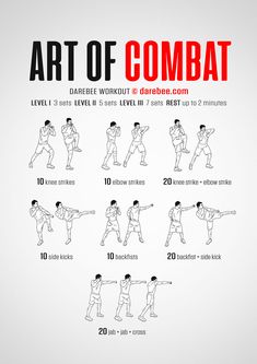 the art of combat poster shows how to do an arm - kick in different positions