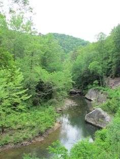 a river running through a forest filled with lots of green trees next to tall rocks
