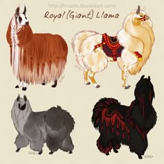 four different types of llamas are shown in this drawing