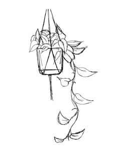 a black and white drawing of a hanging planter filled with flowers on a vine