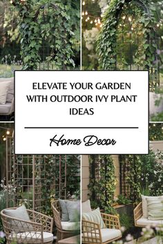 Garden decorated with ivy plants on trellises, featuring stylish outdoor seating under string lights. Text overlay reads: "Elevate Your Garden with Outdoor Ivy Plant Ideas - Home Decor".