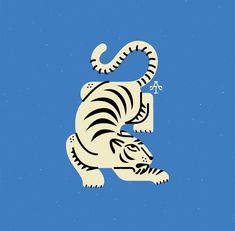 a white tiger on a blue background