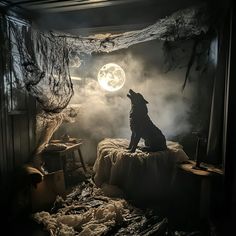a dog sitting on top of a bed under a full moon in a dark room
