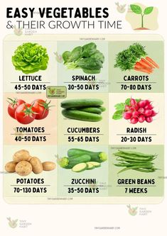 vegetables and their growth time are shown in this poster with the words easy vegetables and their growth