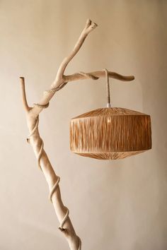 a lamp that is hanging from a tree branch