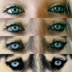 a woman's face with blue eyes and long hair, in four different photos