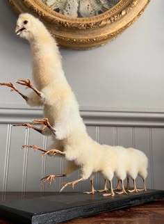 an animal that is standing on its hind legs