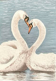 two white swans are in the water making a heart shape with their necks and beaks
