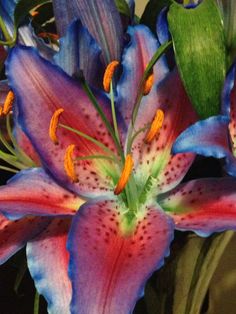 a vase filled with purple and blue flowers