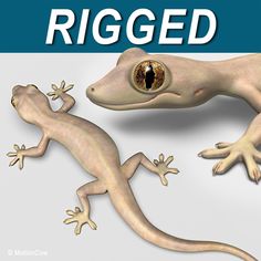 two geckos with the words rigged in front of them and an image of one gecko