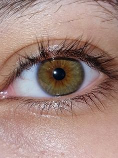 Ohos Hazel, Hazel Eye Color, Green Eyes Vision Board, Brown Green Eyes, Hazel Eyes Aesthetic, Hazel Green Eyes Aesthetic, Greenish Brown Eyes, Brownish Green Eyes, Green Hazel Eyes Aesthetic