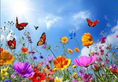 many colorful flowers and butterflies flying in the sky