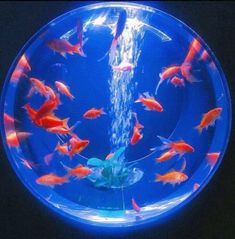 an aquarium with goldfish in it and water pouring out of the bowl to its side