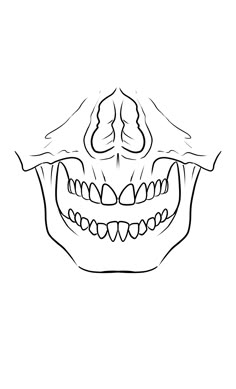 a black and white drawing of a skull with teeth