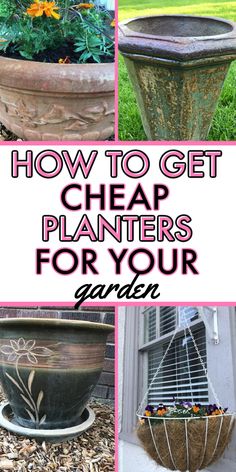 cheap planter ideas