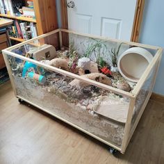 a fish tank filled with lots of different types of rocks and plants in front of a door