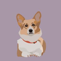 Cute Corgi dog illustration on light purple background