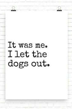 a black and white poster with the words it was me i let the dogs out