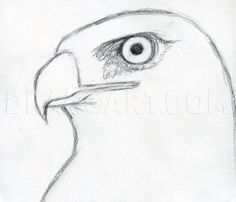 a drawing of a bird with an eye