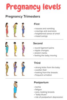 Pregnancy levels