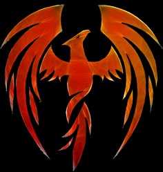 an orange bird with large wings flying through the air