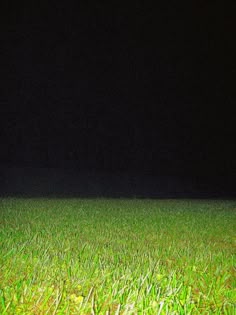 a red fire hydrant sitting in the middle of a lush green field at night