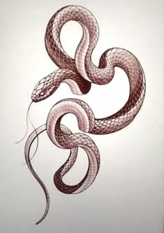 a drawing of a snake on a white background