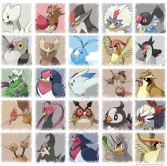 many different types of cartoon birds
