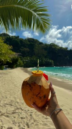 a person holding up a coconut on the beach with a drink in it's hand