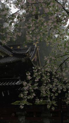 #nikko #japan #tokyo Japanese Nature Background, Wallpaper City Japan, Foggy Japan Wallpaper, Japan Wallapaper, Japanese Wall Paper, Wp Wallpaper Aesthetic, Japan Gothic, My Background, Iphone Wallpaper Japanese