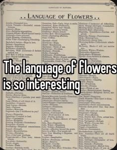 an old book with the language of flowers on it and texting that reads, the language of flowers is so interesting