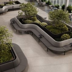 an outdoor seating area with trees and plants in the shape of curved couches on concrete flooring