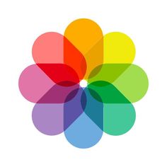 an image of a colorful flower that is in the middle of a white background,